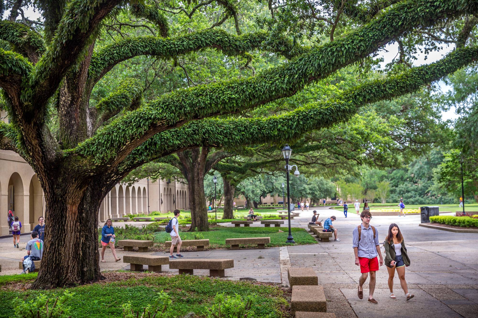 Photo of students walking in the Quad Photo of students walking in the Quad