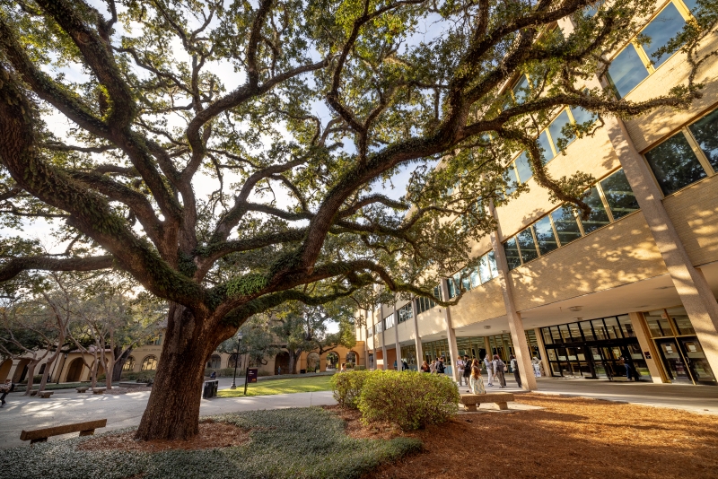 Hill Memorial Library