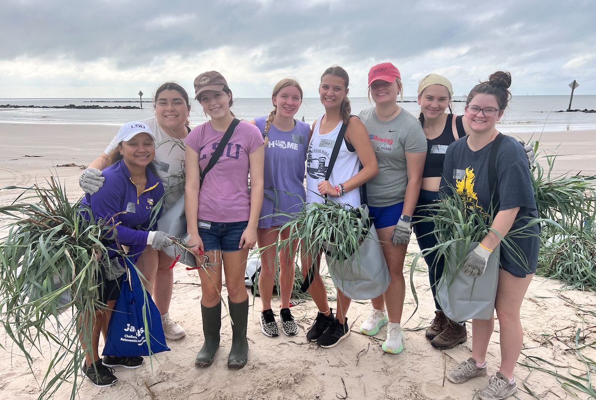 Volunteers help to plant storm resistant plants along the Gulf Coast in Cameron, Louisiana.