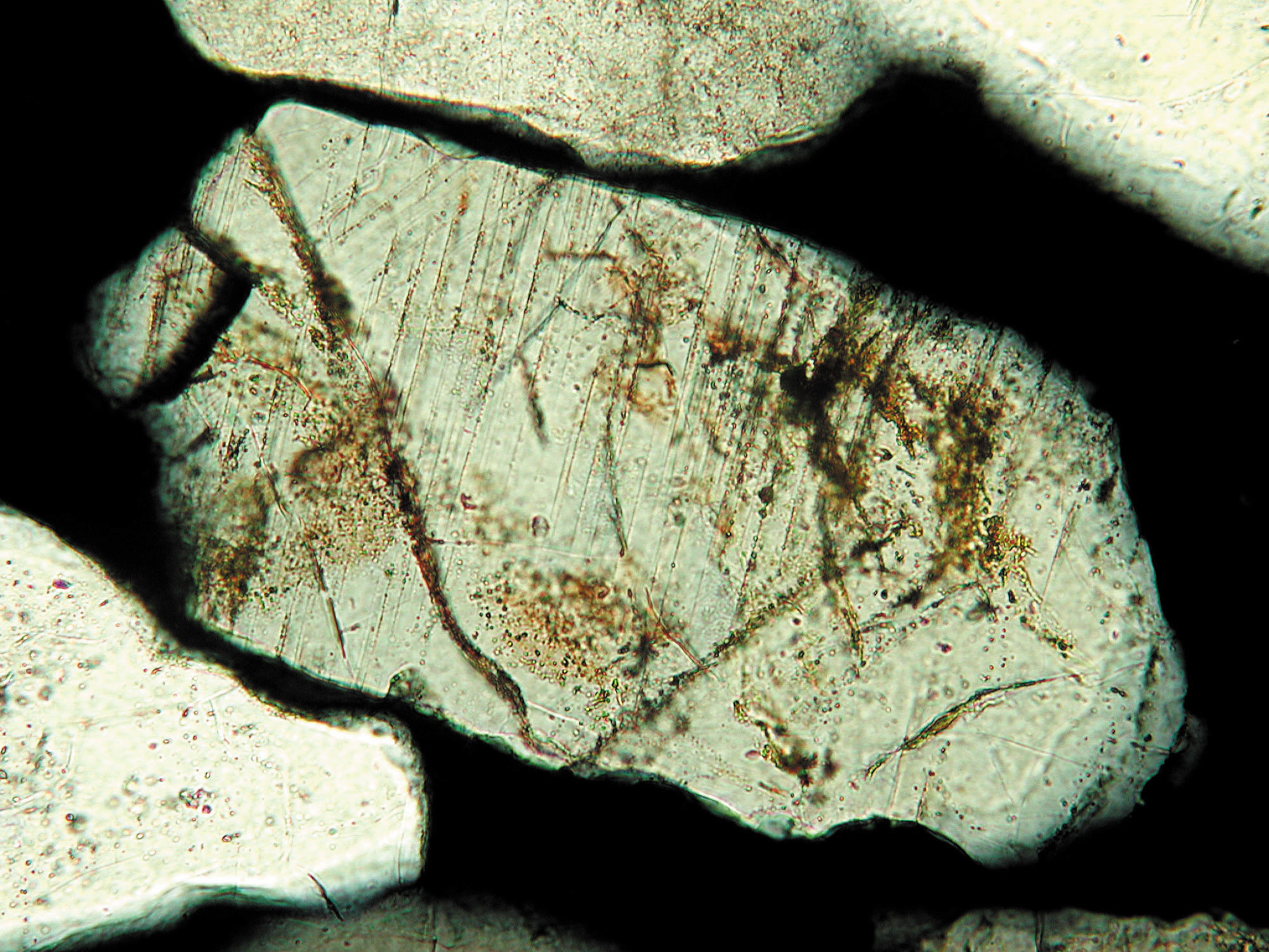 shocked quartz shocked quartz