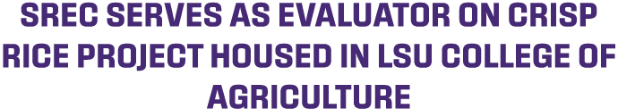 SREC serves as evaluator on CRISP Rice project housed in LSU College of Agriculture