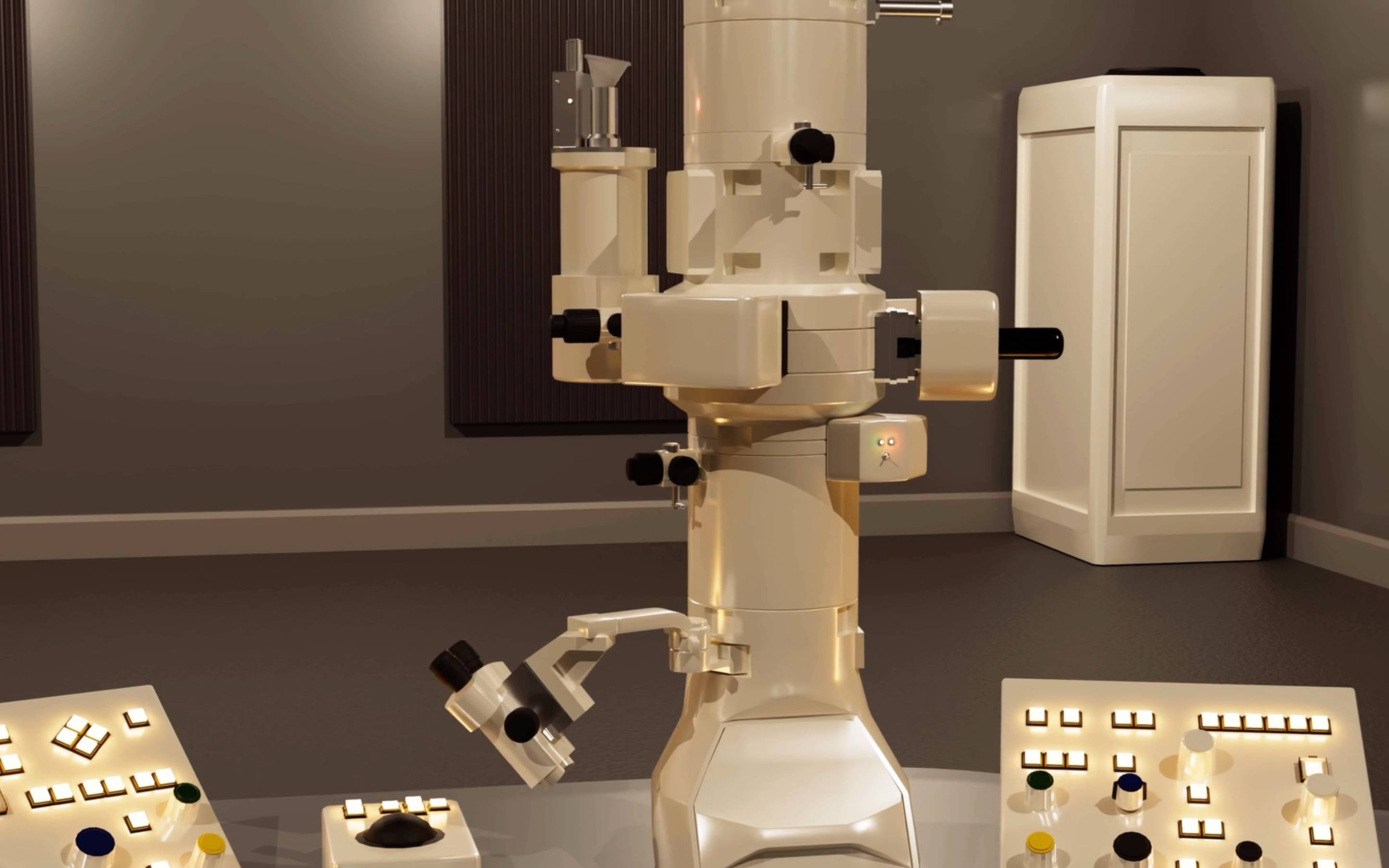 3D rendering of SETM.