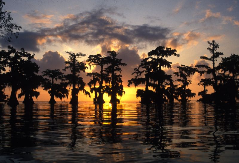 Atchafalaya Basin at sunset
