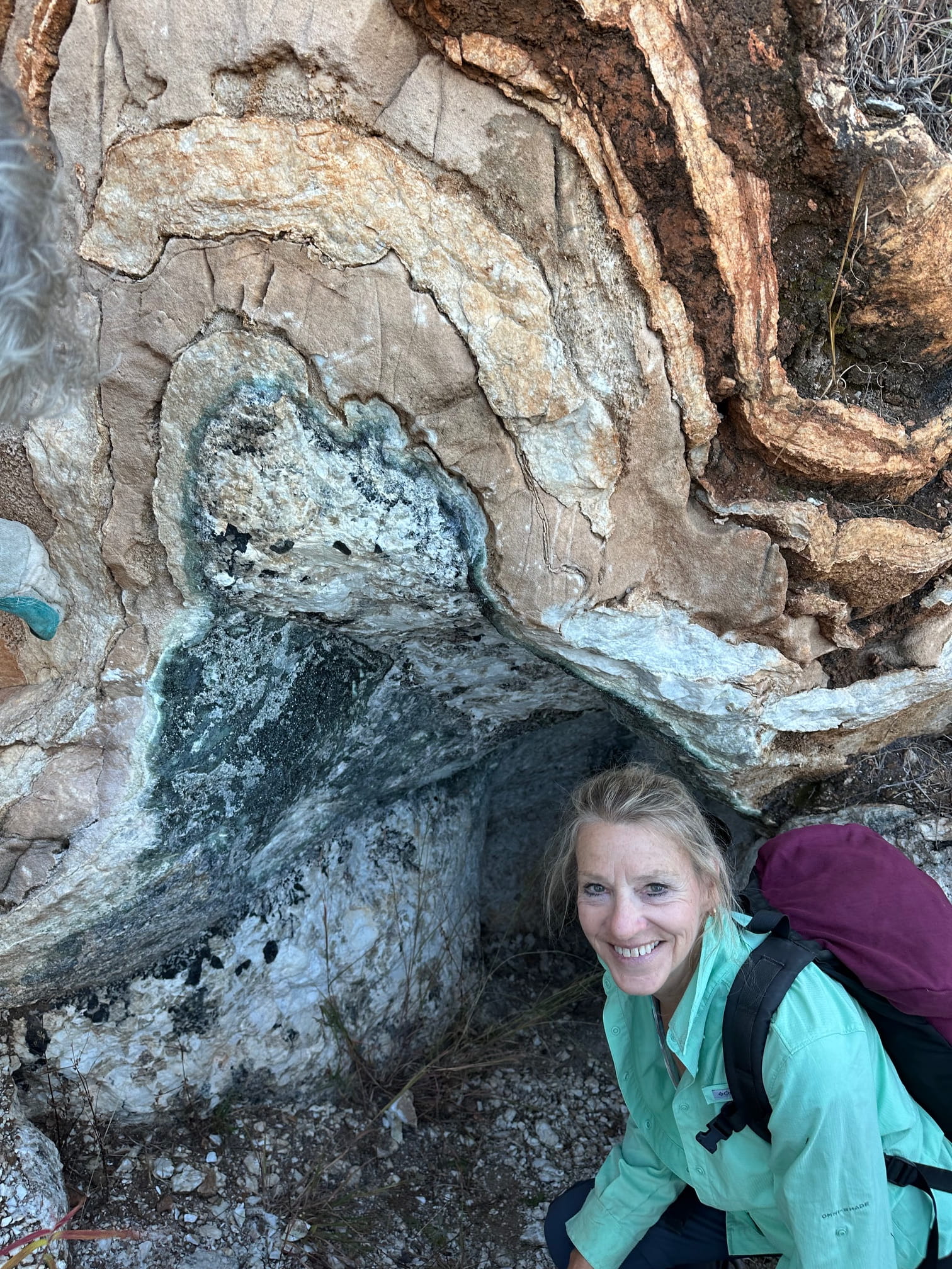 Dr. Dutrow in front of a rock formation