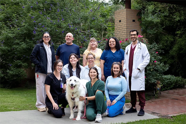 Emergency Team with Snowy