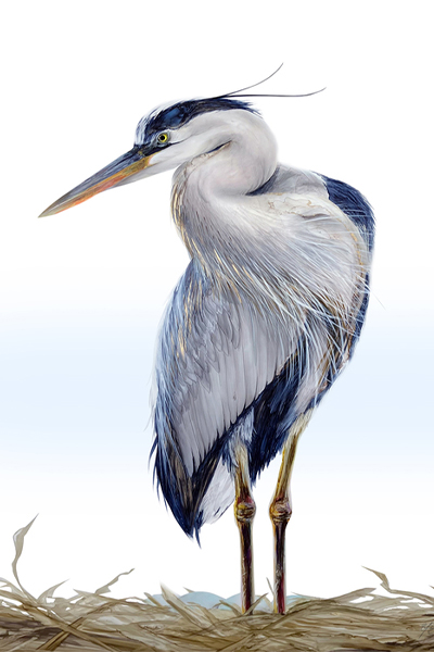 Gentle Keeper, painting of a tall, blue and white bird