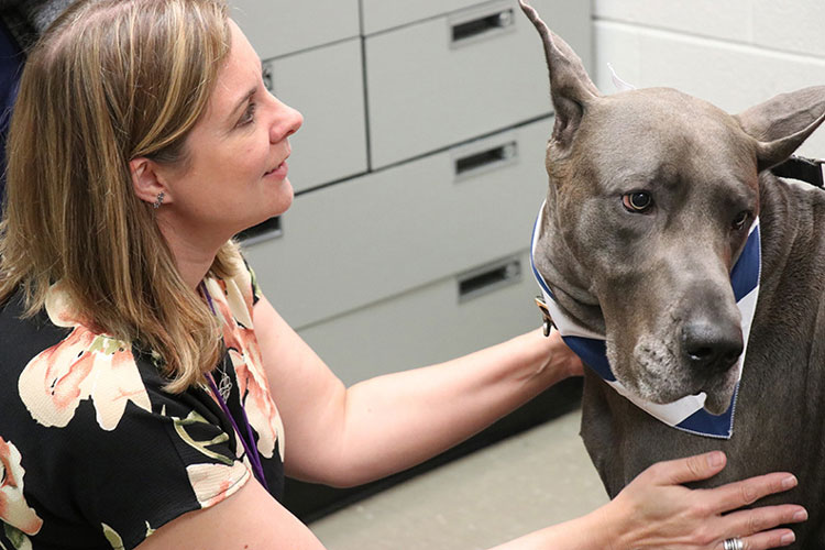 Dr. Renee Carter with Great Dane